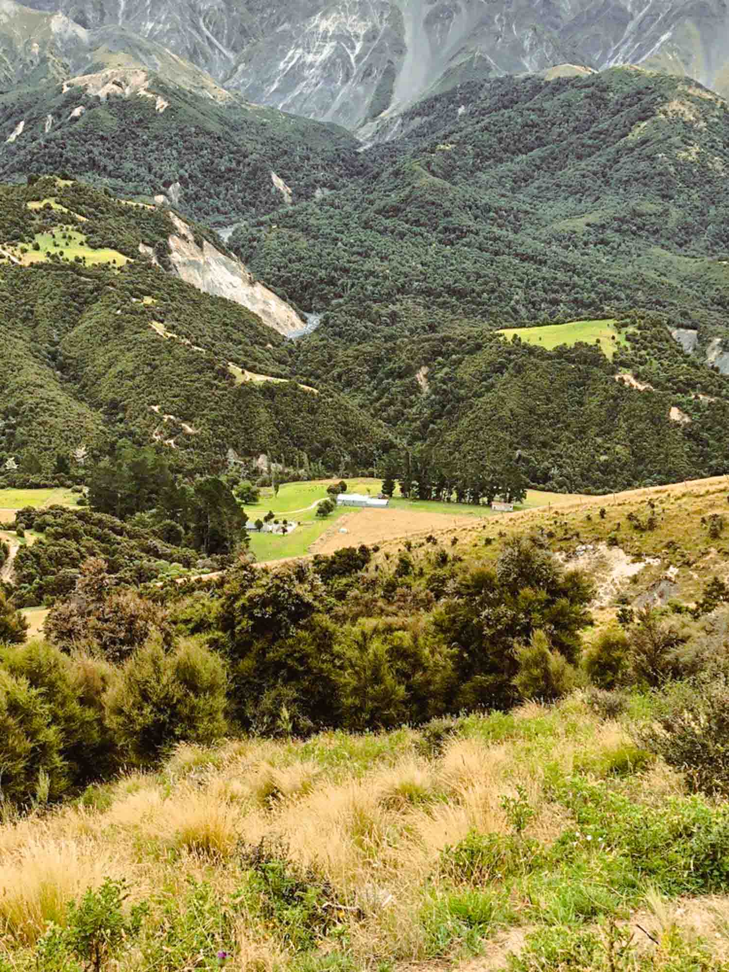 HuntingHQ - Hunting block - Hunt block - Puhi Peaks - Canterbury - New Zealand