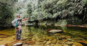 Angler casting a line into a serene river on private land in New Zealand