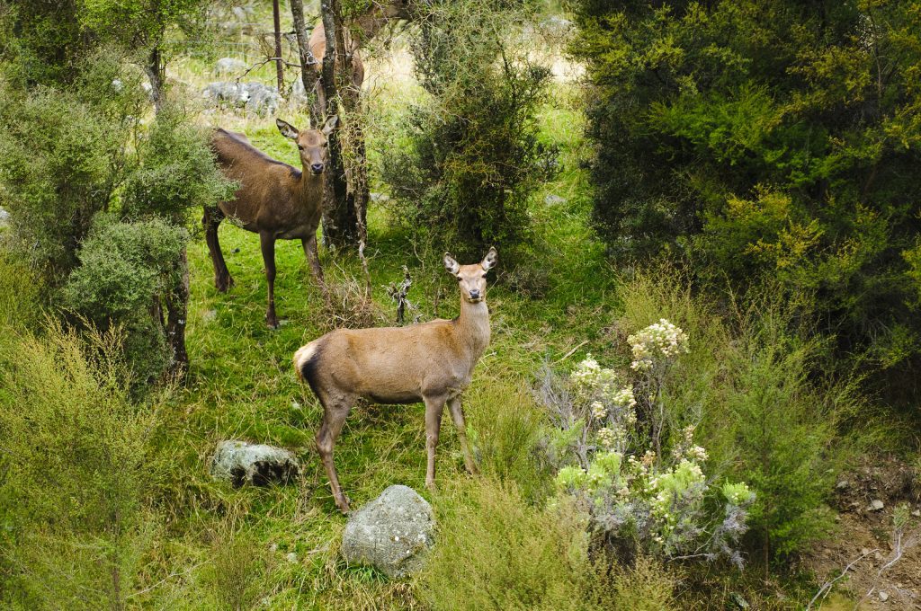 OutdoorHQ Blog - Hunting Photography - Experiment with Unique Angles